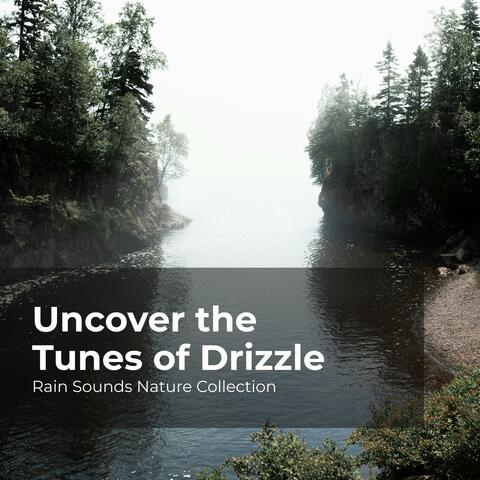 Uncover the Tunes of Drizzle
