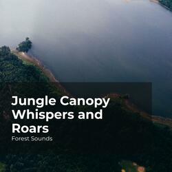 Meditate in Wilderness