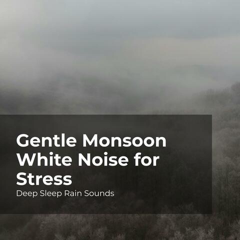 Gentle Monsoon White Noise for Stress