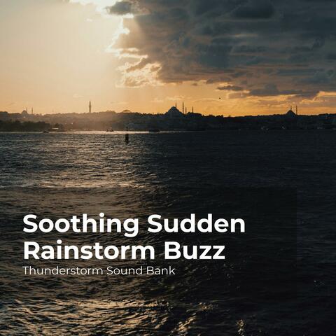 Soothing Sudden Rainstorm Buzz