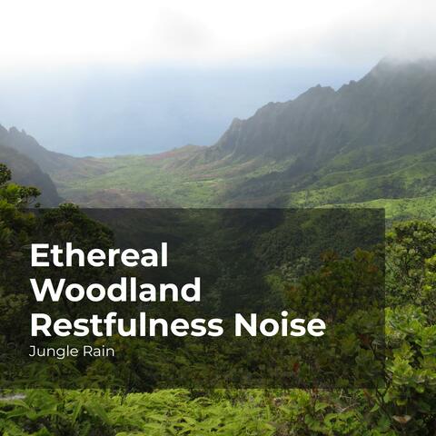 Ethereal Woodland Restfulness Noise