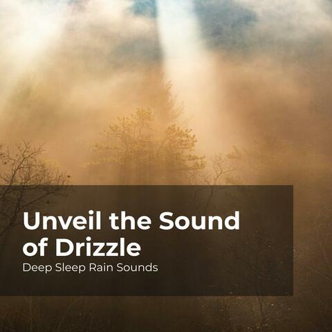 Unveil the Sound of Drizzle
