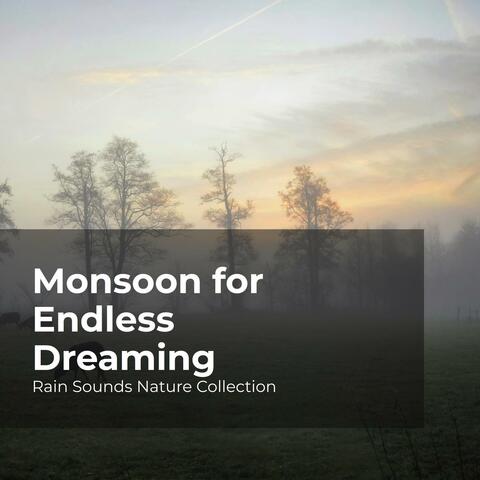 Monsoon for Endless Dreaming