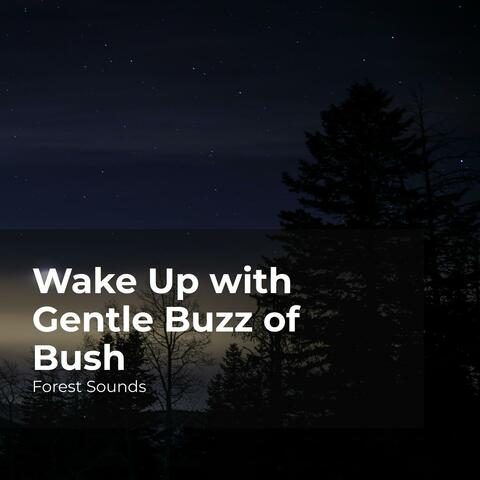 Wake Up with Gentle Buzz of Bush