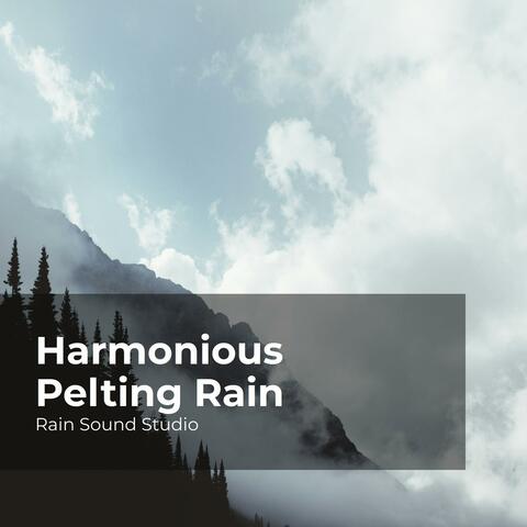 Harmonious Pelting Rain