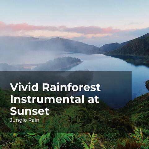 Vivid Rainforest Instrumental at Sunset