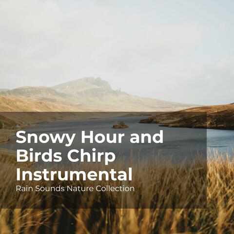 Snowy Hour and Birds Chirp Instrumental