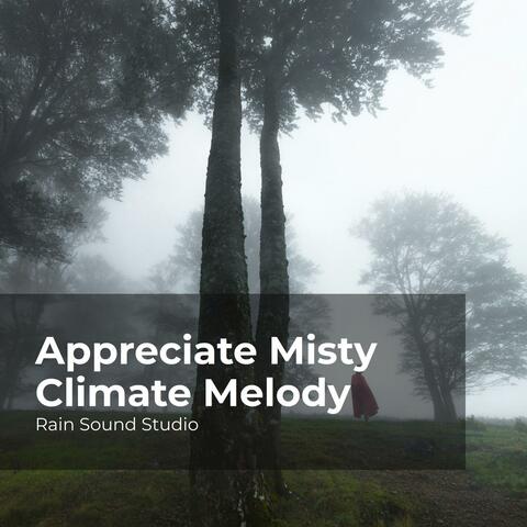 Appreciate Misty Climate Melody