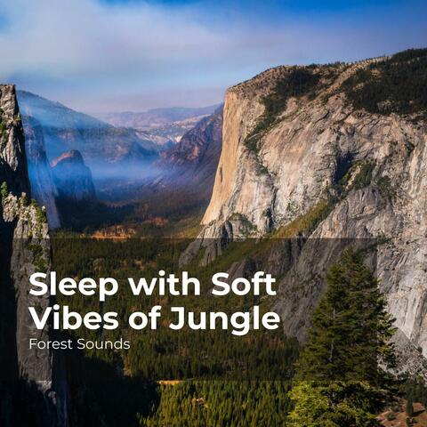 Sleep with Soft Vibes of Jungle