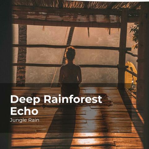Deep Rainforest Echo