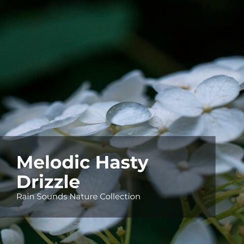 Melodic Hasty Drizzle