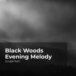 Woodland Mystery