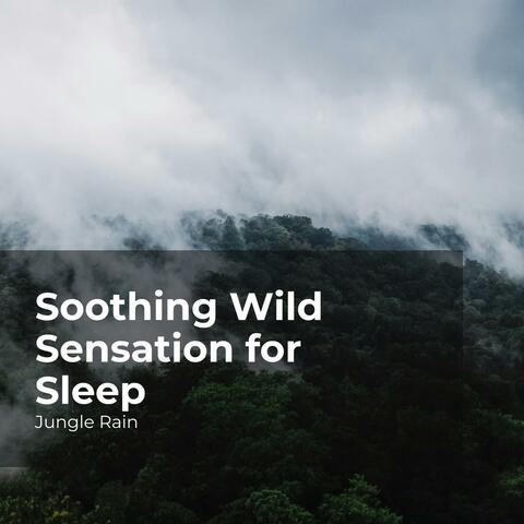 Soothing Wild Sensation for Sleep
