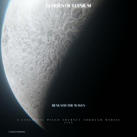 Beneath the Waves: A Cinematic Piano Journey through Marine Life