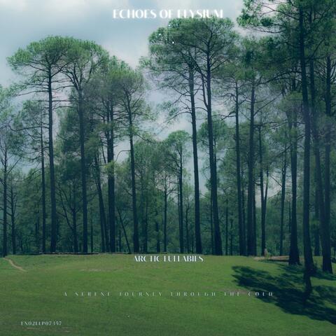 Arctic Lullabies: A Serene Journey through the Cold