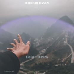 Torrent of Optimism