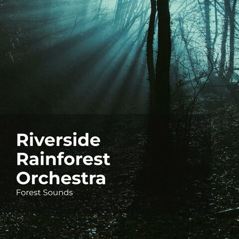 Riverside Rainforest Orchestra