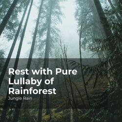 Rain Forest in Tune