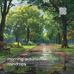 Downstream Winter Raindrops