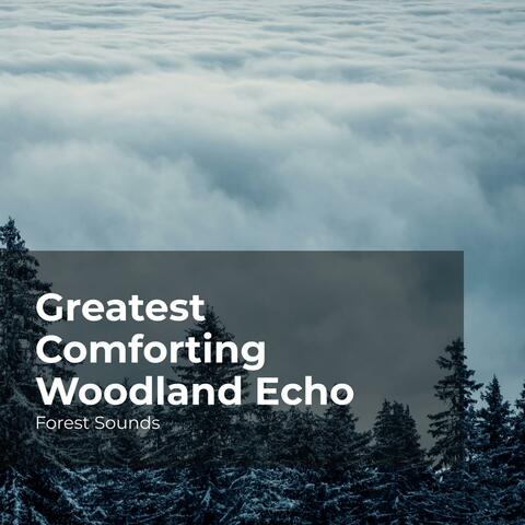 Greatest Comforting Woodland Echo