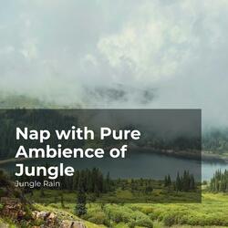 Wilderness Rainy Season