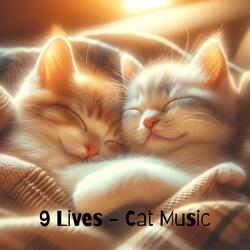 Help Your Cat for Asleep