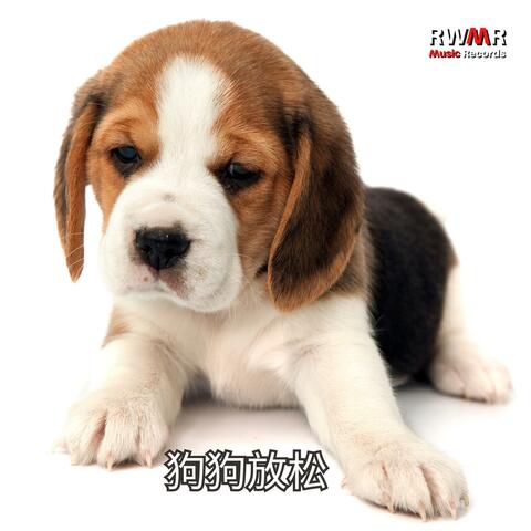狗狗放松 – 适合独自在家的宠物的平静旋律，适合狗狗耳朵的放松音乐，安宁的睡眠