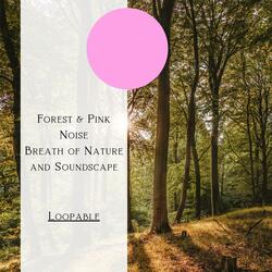 Forest & Pink Noise - Breath of Nature and Soundscape, Loopable