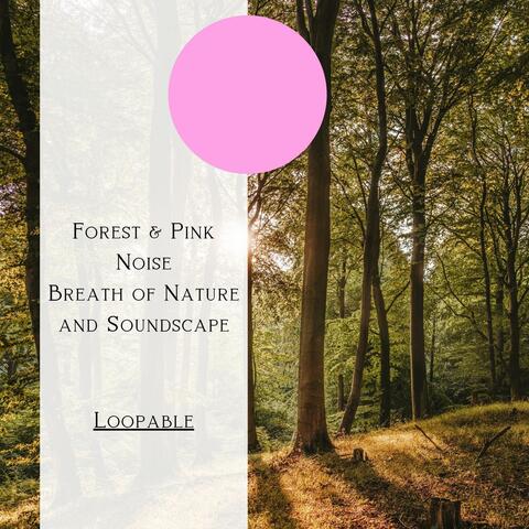 Forest & Pink Noise - Breath of Nature and Soundscape, Loopable