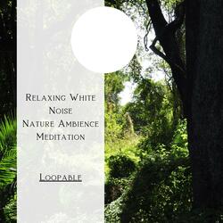 Relaxing White Noise, Nature Ambience Meditation (Forest), Loopable