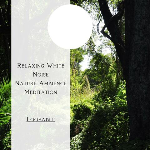 Relaxing White Noise, Nature Ambience Meditation (Forest), Loopable