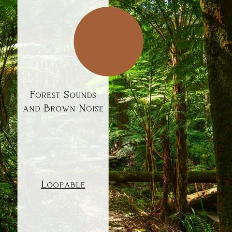 Forest Sounds and Brown Noise, Loopable