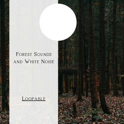 Forest Sounds and White Noise, Loopable