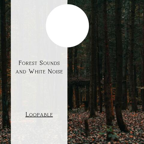 Forest Sounds and White Noise, Loopable