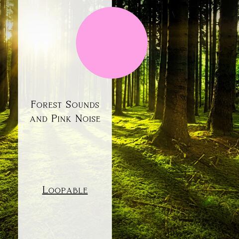 Forest Sounds and Pink Noise, Loopable