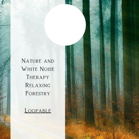 Nature and White Noise Therapy: Relaxing Forestry, Loopable