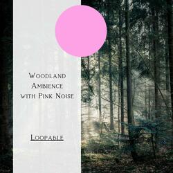 Pink Noise - Gentle Rain Birds, Loopable