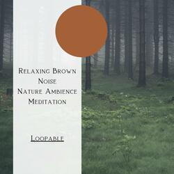 Brown Noise - Night Time Tropical Forest, Loopable
