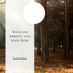 White Noise - Vivid Stream, Loopable