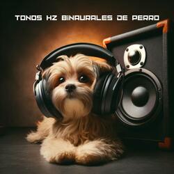 Música relajante para cachorros