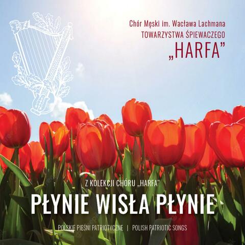 Płyniewisła