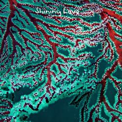 Shining Love