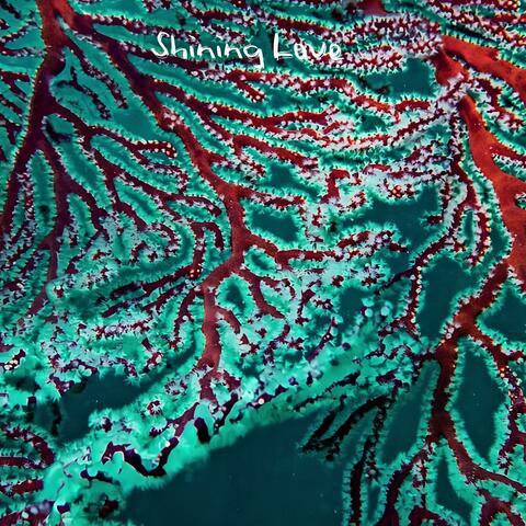 Shining Love