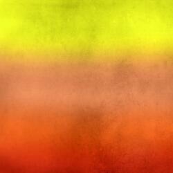 The Sleepy Kingfisher