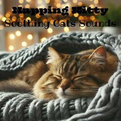 Restful Deep Sleep