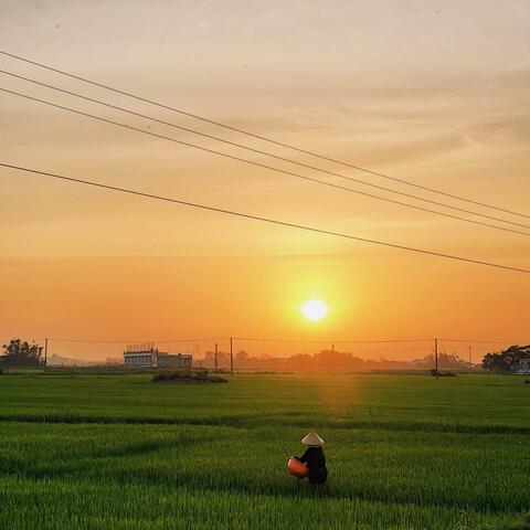 Fields of Exiles