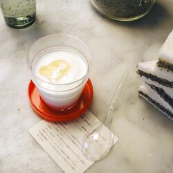 The Motionless Vault