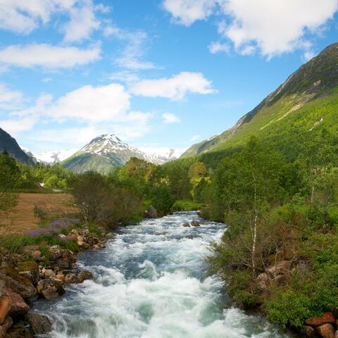 The Chatdale Ice Plains
