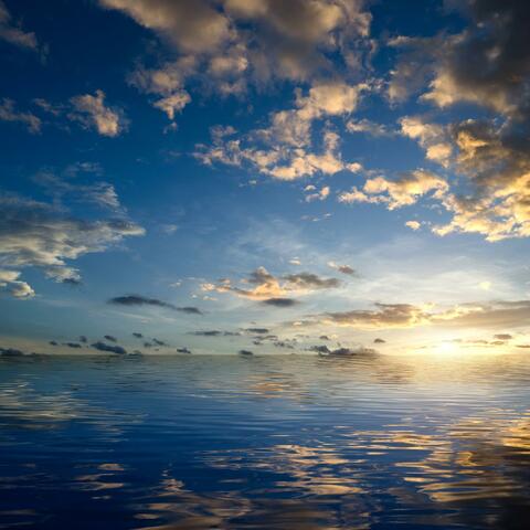 The Ice Needle Flatlands