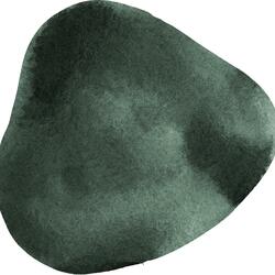 Preacher of the Phoenix